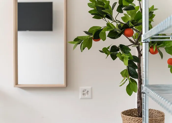 Homestay Modernes Hostel, In Shared Apartment, Wyba Living *